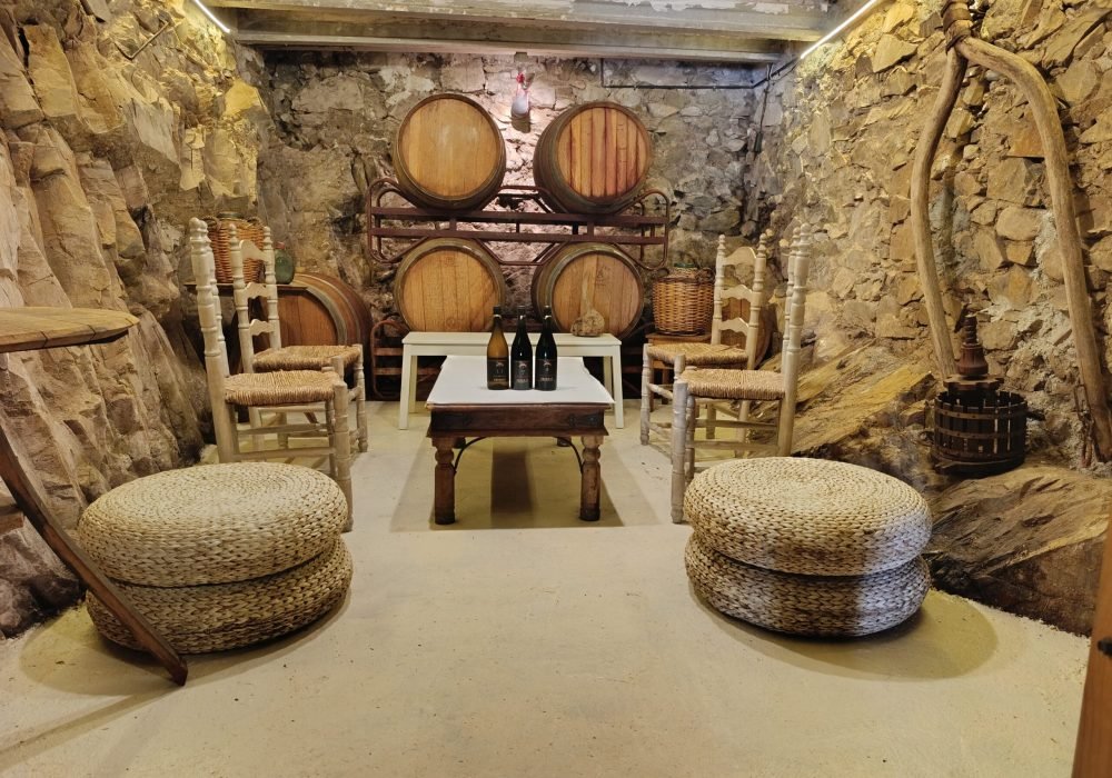 IMG_20251003_113153 (1)